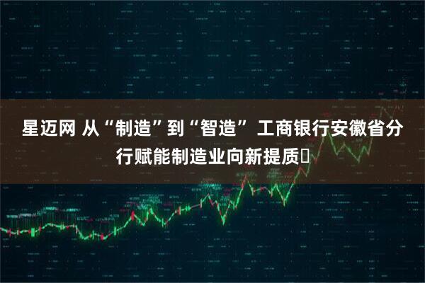 星迈网 从“制造”到“智造” 工商银行安徽省分行赋能制造业向新提质​