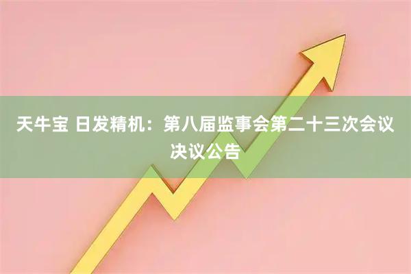 天牛宝 日发精机：第八届监事会第二十三次会议决议公告
