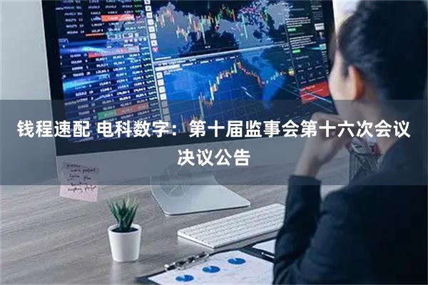 钱程速配 电科数字：第十届监事会第十六次会议决议公告