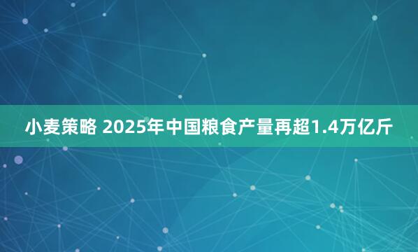 小麦策略 2025年中国粮食产量再超1.4万亿斤