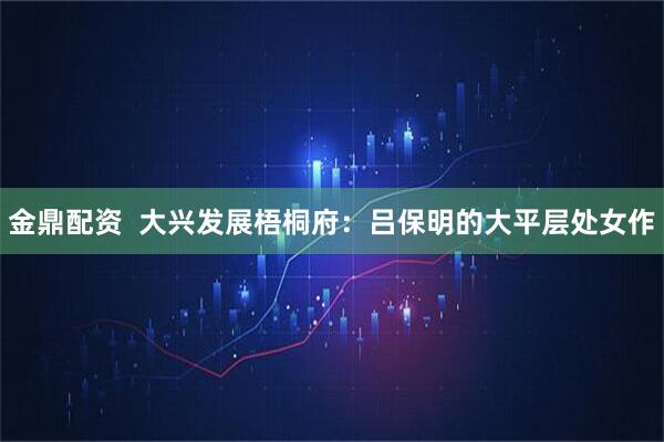 金鼎配资  大兴发展梧桐府：吕保明的大平层处女作