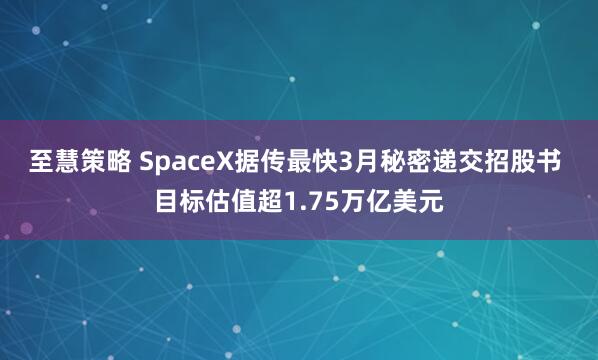 至慧策略 SpaceX据传最快3月秘密递交招股书 目标估值超1.75万亿美元